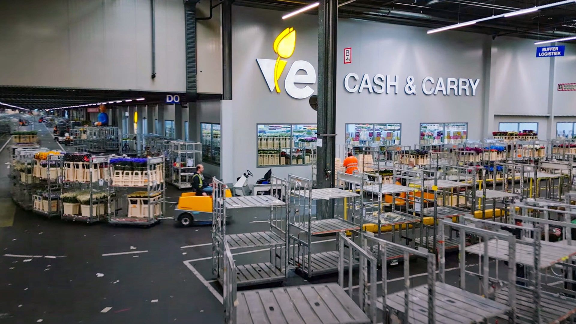 [Translate to Italian:] The Netherlands as global hub of flower trade